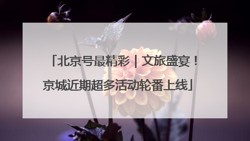 北京号最精彩｜文旅盛宴！京城近期超多活动轮番上线