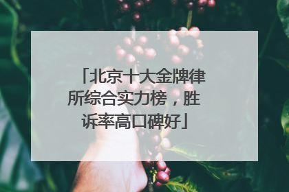 北京十大金牌律所综合实力榜，胜诉率高口碑好