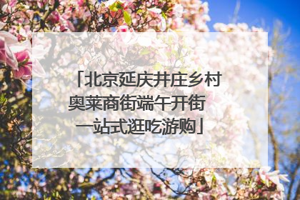 北京延庆井庄乡村奥莱商街端午开街 一站式逛吃游购