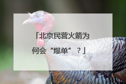 北京民营火箭为何会“爆单”？