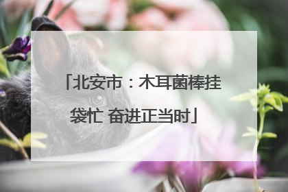 北安市：木耳菌棒挂袋忙 奋进正当时