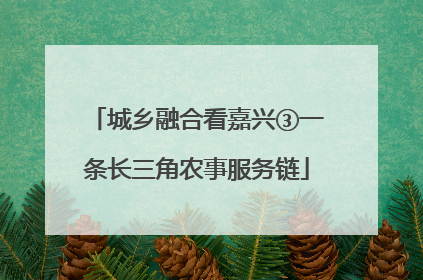 城乡融合看嘉兴③一条长三角农事服务链