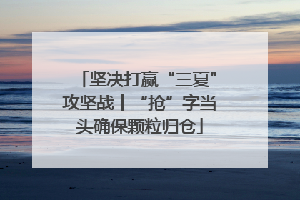 坚决打赢“三夏”攻坚战丨“抢”字当头确保颗粒归仓