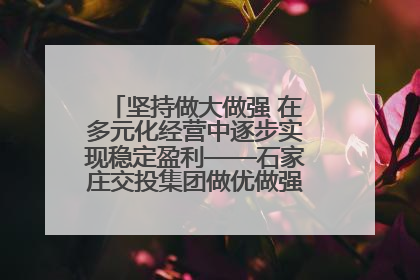 坚持做大做强 在多元化经营中逐步实现稳定盈利——石家庄交投集团做优做强典型报道之三