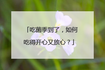 吃菌季到了，如何吃得开心又放心？