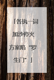 各执一词 加沙停火方案陷“罗生门”