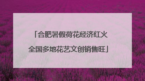 合肥暑假荷花经济红火 全国多地花艺文创销售旺