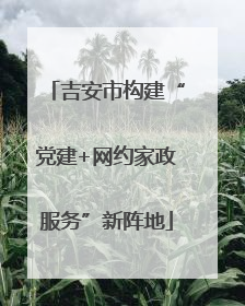 吉安市构建“党建+网约家政服务”新阵地