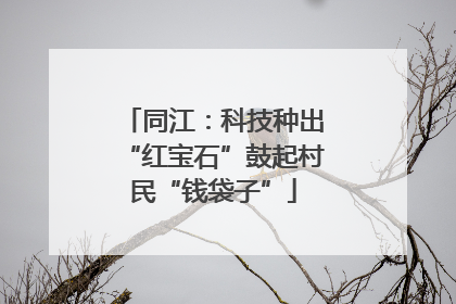 同江：科技种出“红宝石”鼓起村民“钱袋子”