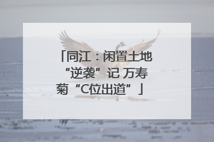 同江：闲置土地“逆袭”记 万寿菊“C位出道”