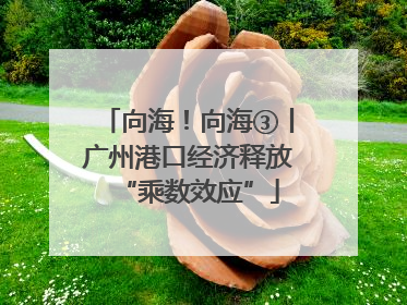 向海！向海③丨广州港口经济释放“乘数效应”