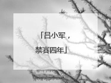 吕小军，禁赛四年