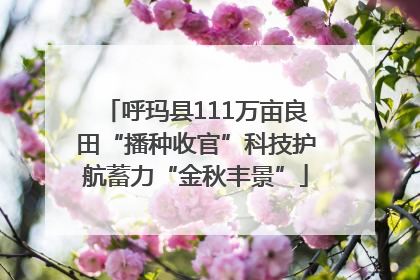 呼玛县111万亩良田“播种收官”科技护航蓄力“金秋丰景”