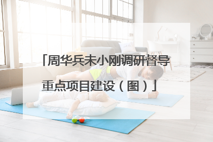 周华兵未小刚调研督导重点项目建设（图）