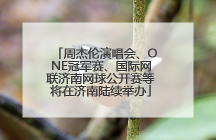 周杰伦演唱会、ONE冠军赛、国际网联济南网球公开赛等将在济南陆续举办