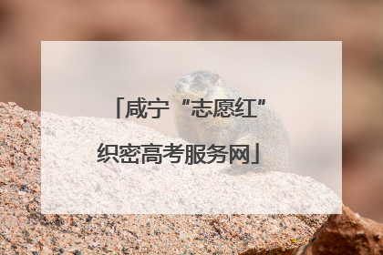 咸宁“志愿红”织密高考服务网