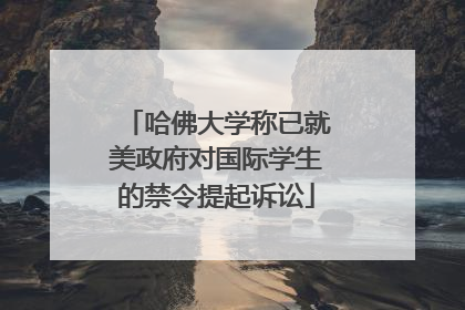 哈佛大学称已就美政府对国际学生的禁令提起诉讼
