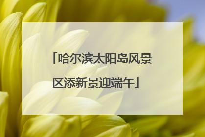 哈尔滨太阳岛风景区添新景迎端午