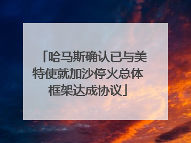 哈马斯确认已与美特使就加沙停火总体框架达成协议
