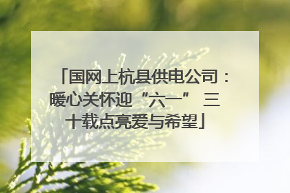 国网上杭县供电公司：暖心关怀迎“六一” 三十载点亮爱与希望