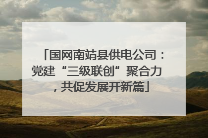 国网南靖县供电公司：党建“三级联创”聚合力，共促发展开新篇