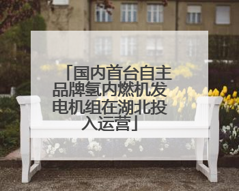 国内首台自主品牌氢内燃机发电机组在湖北投入运营