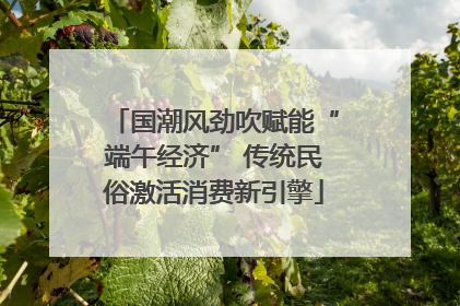 国潮风劲吹赋能“端午经济” 传统民俗激活消费新引擎