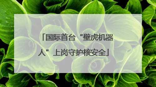 国际首台“壁虎机器人”上岗守护核安全