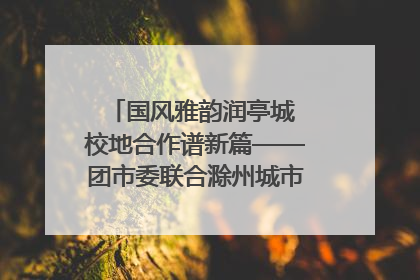 国风雅韵润亭城 校地合作谱新篇——团市委联合滁州城市职业学院助力传统文化“破圈”绽放