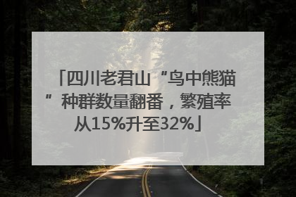 四川老君山“鸟中熊猫”种群数量翻番，繁殖率从15%升至32%
