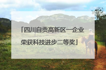 四川自贡高新区一企业荣获科技进步二等奖