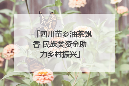 四川苗乡油茶飘香 民族类资金助力乡村振兴