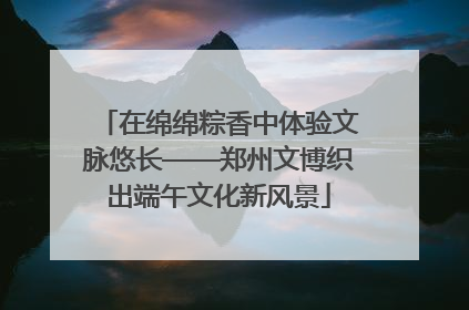 在绵绵粽香中体验文脉悠长——郑州文博织出端午文化新风景