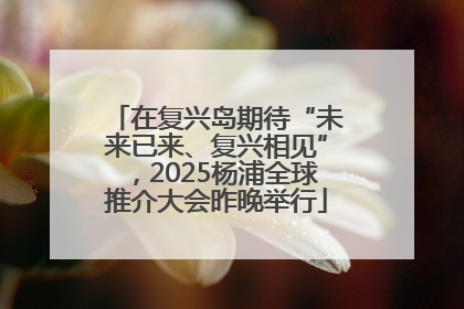 在复兴岛期待“未来已来、复兴相见”，2025杨浦全球推介大会昨晚举行