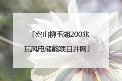 密山柳毛湖200兆瓦风电储能项目并网