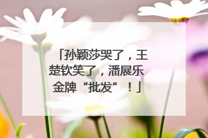 孙颖莎哭了，王楚钦笑了，潘展乐金牌“批发”！
