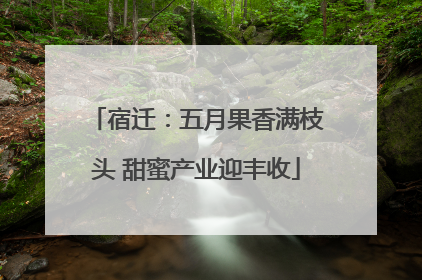 宿迁：五月果香满枝头 甜蜜产业迎丰收