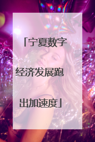宁夏数字经济发展跑出加速度