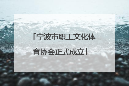 宁波市职工文化体育协会正式成立