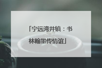 宁远湾井镇：书林翰墨传情谊