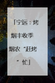 宁远：烤烟丰收季 烟农“赶烤”忙