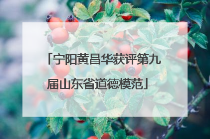 宁阳黄昌华获评第九届山东省道德模范