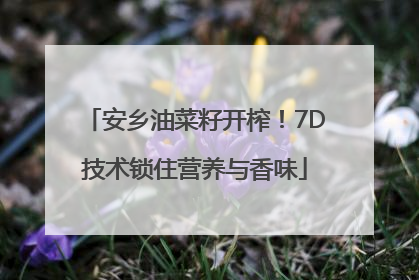 安乡油菜籽开榨！7D技术锁住营养与香味