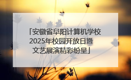 安徽省阜阳计算机学校2025年校园开放日暨文艺展演精彩纷呈