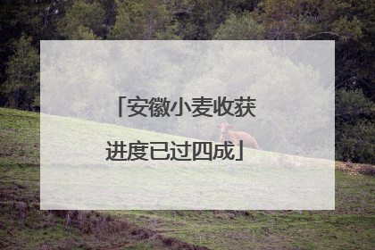 安徽小麦收获进度已过四成