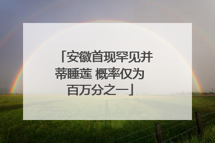 安徽首现罕见并蒂睡莲 概率仅为百万分之一