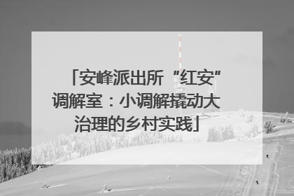 安峰派出所“红安”调解室：小调解撬动大治理的乡村实践