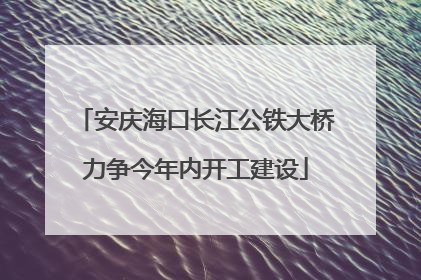 安庆海口长江公铁大桥力争今年内开工建设