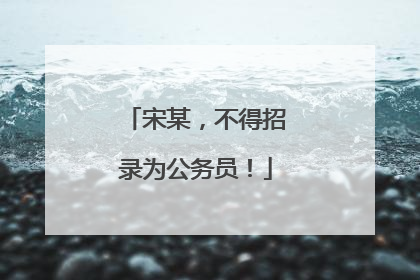 宋某，不得招录为公务员！