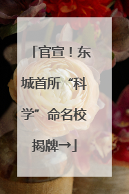 官宣！东城首所“科学”命名校揭牌→